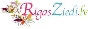 rigas-ziedi-300x101-1-removebg-preview